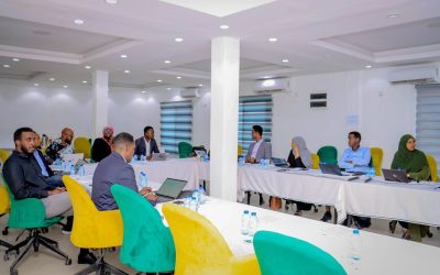 اليوم الثاني من مشروع بناء القدرة على الصمود المالي في الصومال
