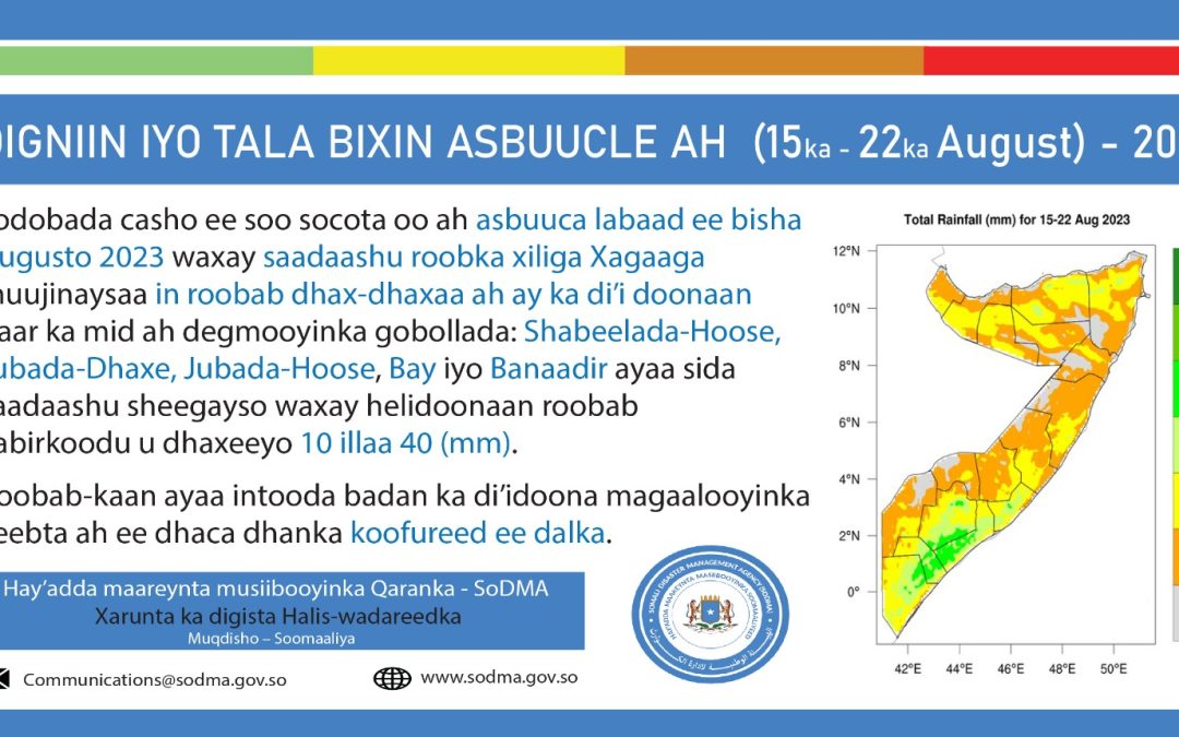 15-18 2024 Forecasting