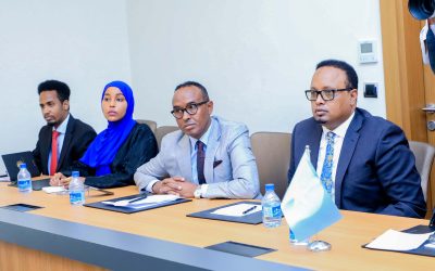Somali and Iraqi Interior Ministers Forge Stronger Ties in Mogadishu, Focusing on Counter-Terrorism and Regional Cooperation