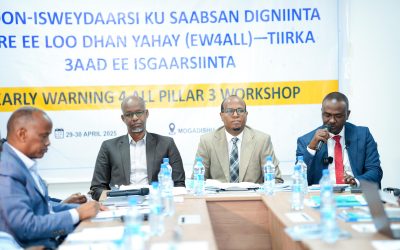 Somalia Bolsters Emergency Response with High-Level Workshop on Cell Broadcast Early Warning Systems
