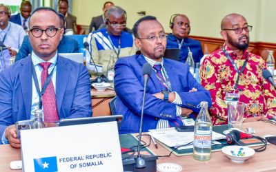 Somali Disaster Commissioner Launches $40M WISER Action First-East Africa Project in Kenya to Boost Regional Resilience