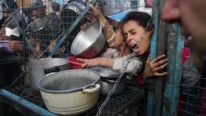 Facts and statistics about Humanitarian aid you need to know