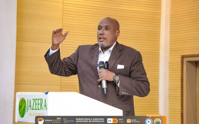 Prof. Said Abubakar Highlights the Role of Education in Post-Conflict Environmental Recovery