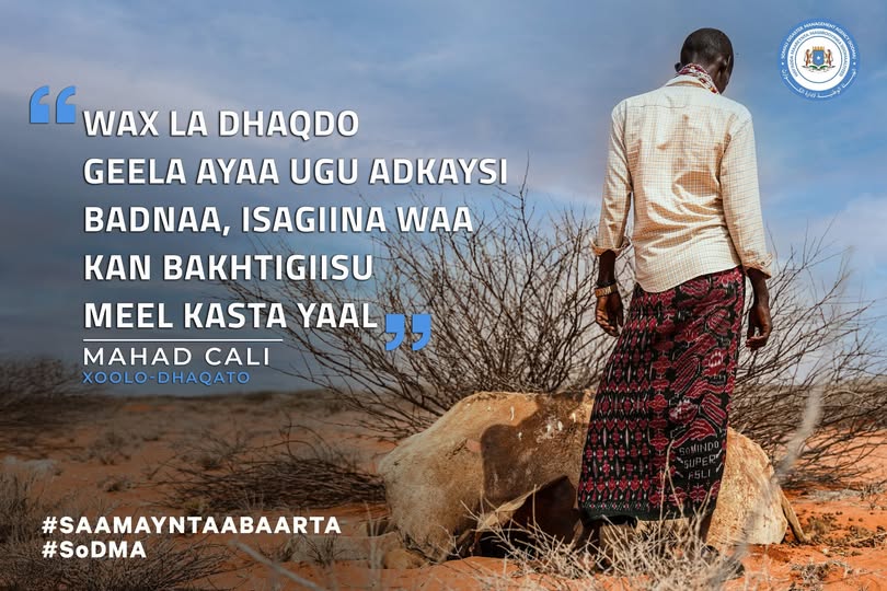 651694203_934204209420125_3091921036590392522_n