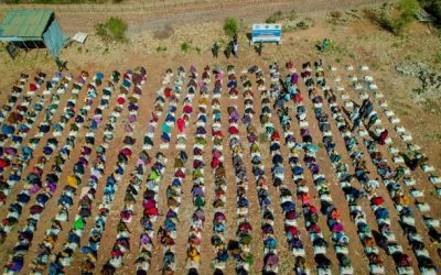 SoDMA and the Ministry of Humanitarian Affairs of South West State Continue Food Aid Distribution in Baidoa, Reaching 520 Drought-Affected Vulnerable Households