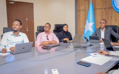 SoDMA Commissioner Holds Virtual Meeting with the Somali Diaspora