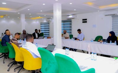 Somalia Advances Financial Resilience to Disaster Risks