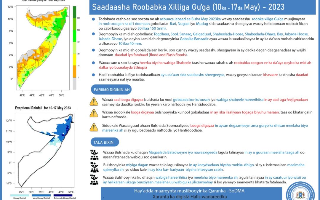 10-17 2024 Forecasting