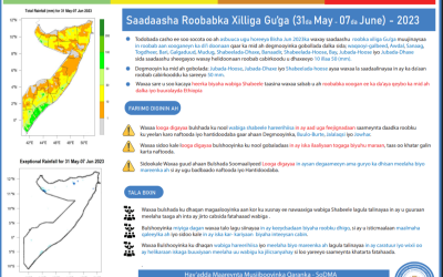 Saadaasha Week 10