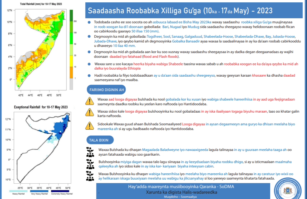 Saadaasha Week 11