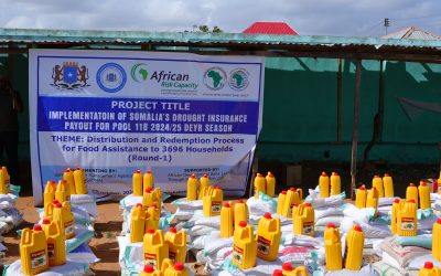 Wajiga koowaad ee mashruuc cuno qeybin ah oo socon doona muddo saddex bilood