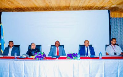 Guddoomiyaha Hay’adda Maareynta Masiibooyinka Qaranka Soomaaliyeed (SoDMA), Md. Maxamuud Macalin Cabdulle, ayaa maanta magaalada Muqdisho kusoo xiray shir heer qaran ah oo looga tashanayay dhismaha Istaraatijiyadda Qaranka ee Anticipatory Action