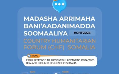 Madasha Arrimaha Bini’adanimada Soomaaliya (CHF) – 29 March 2026