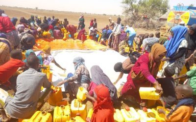 𝐒𝐨𝐃𝐌𝐀 𝐢𝐲𝐨 𝐊𝐨𝐨𝐧𝐟𝐮𝐫 𝐆𝐚𝐥𝐛𝐞𝐞𝐝 𝐨𝐨 𝐁𝐢𝐲𝐨-𝐝𝐡𝐚𝐚𝐦𝐢𝐧 𝐆𝐚𝐚𝐫𝐬𝐢𝐢𝐲𝐚𝐲 𝐃𝐞𝐞𝐠𝐚𝐚𝐧𝐧𝐨 𝐤𝐚 𝐓𝐢𝐫𝐬𝐚𝐧 𝐁𝐚𝐫𝐝𝐚𝐚𝐥𝐞.